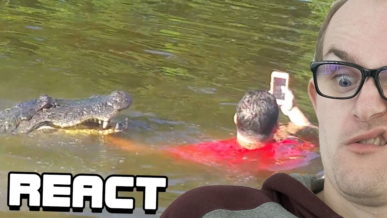 React: Animals Stupidity Compilation 2020