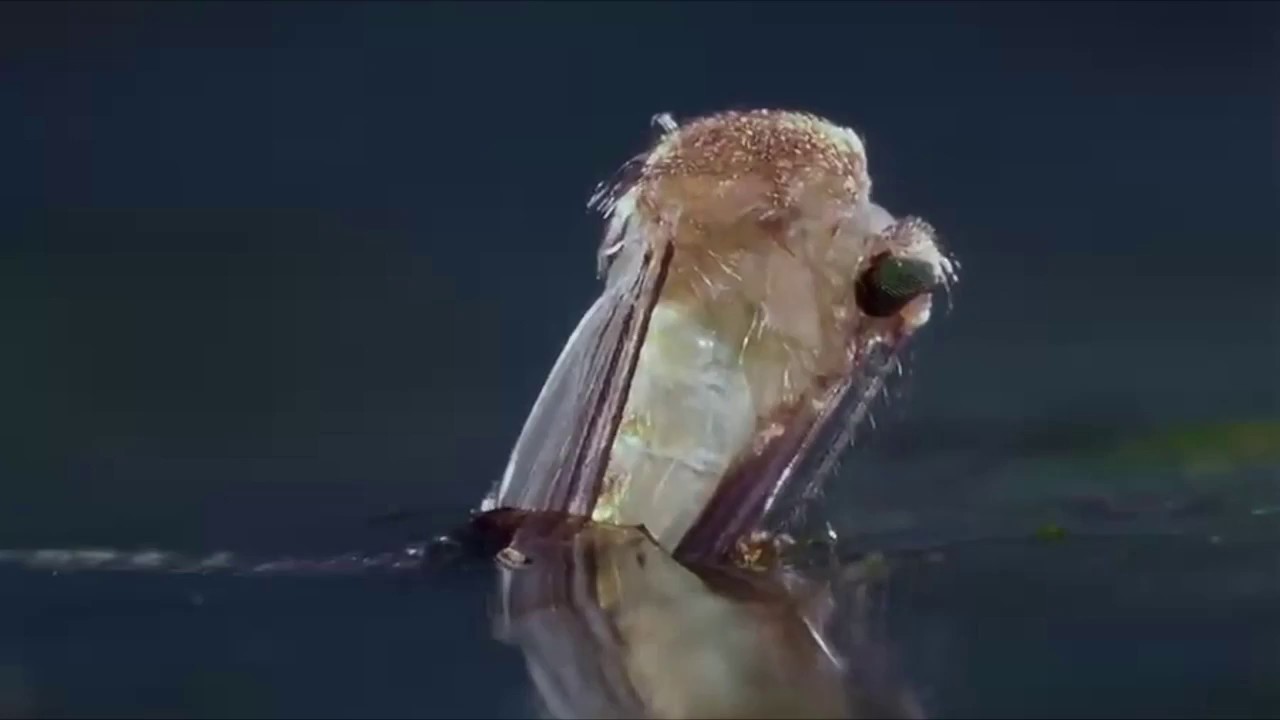 An Ancient Evil Awakens