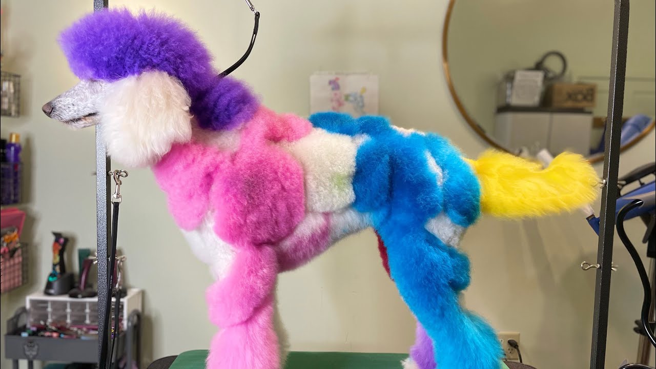 Creative Grooming Tutorial: Magenta joins my Blue&rsquo;s Clue&rsquo;s design!