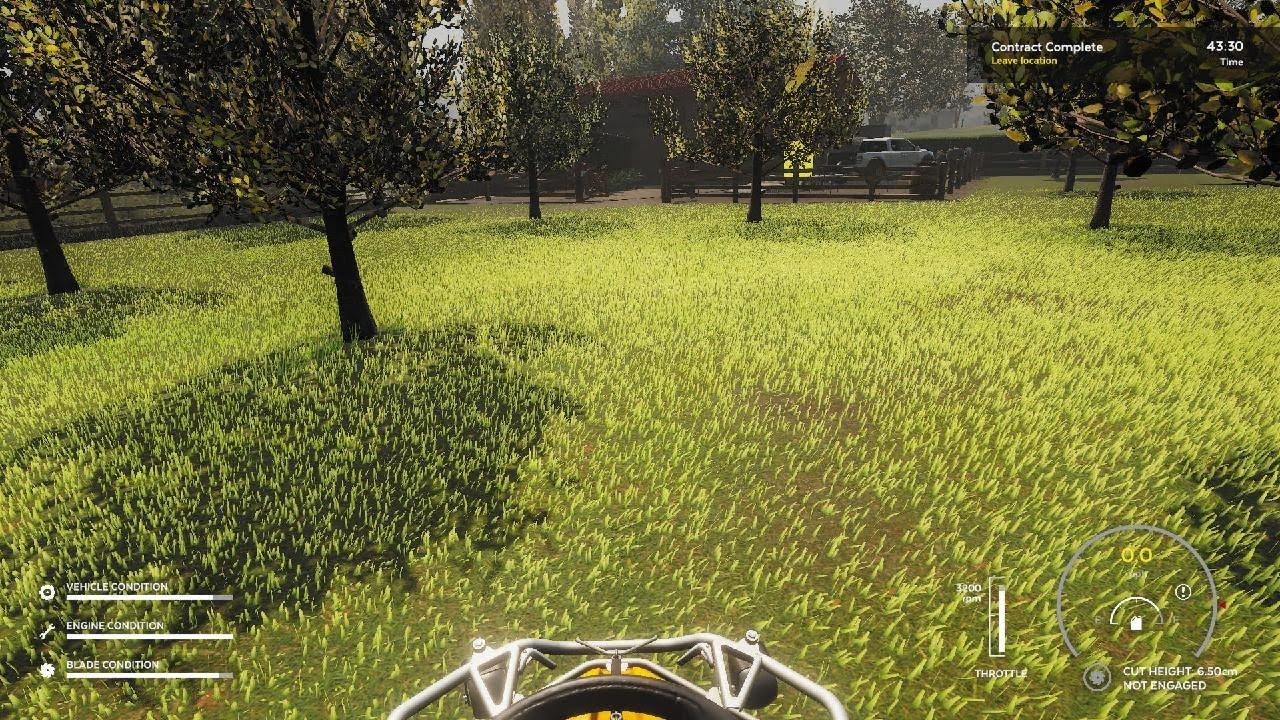 So much grass
