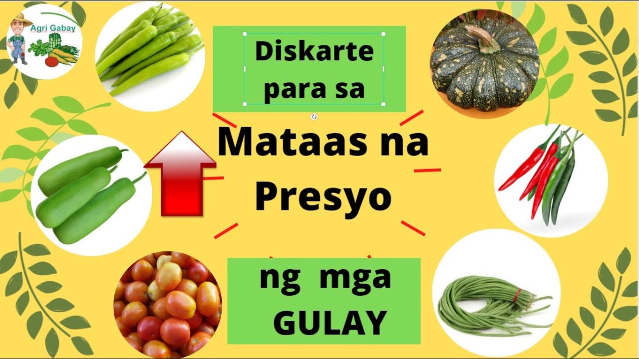 Diskarte para sa Mataas na presyo ng Gulay (Agrigabay)