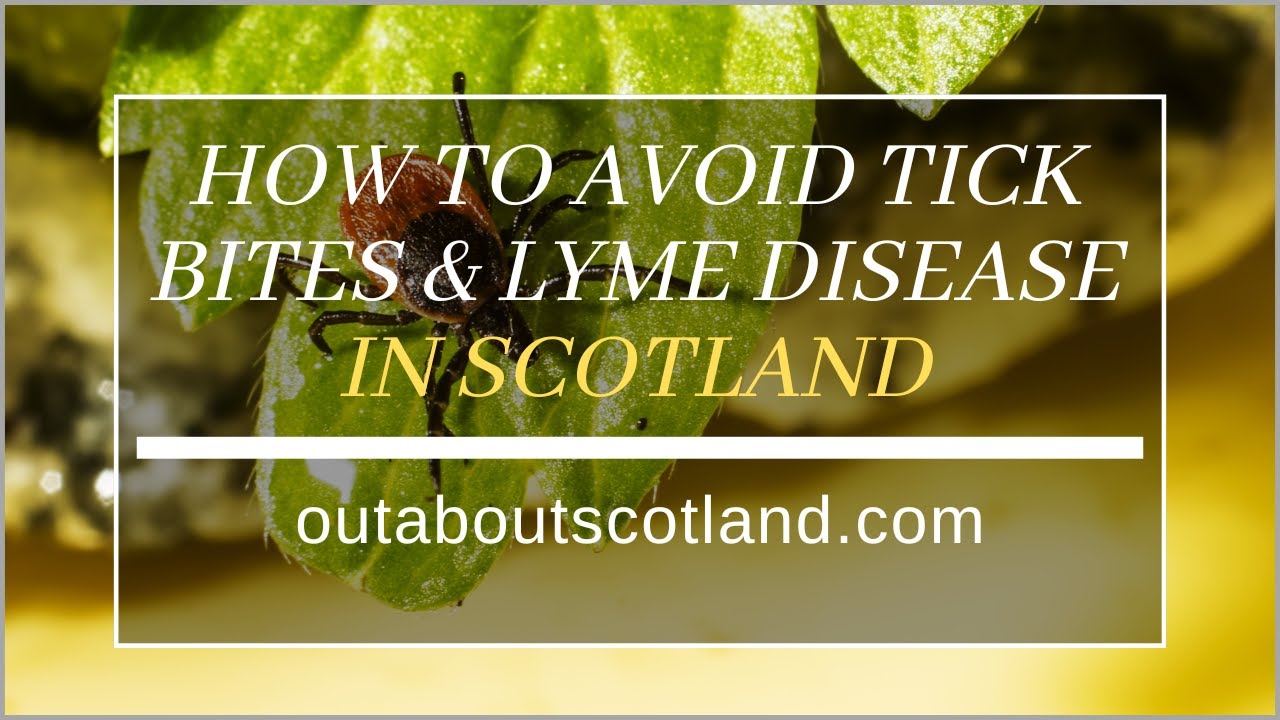 How to Avoid Tick Bites and Lyme Disease in Scotland