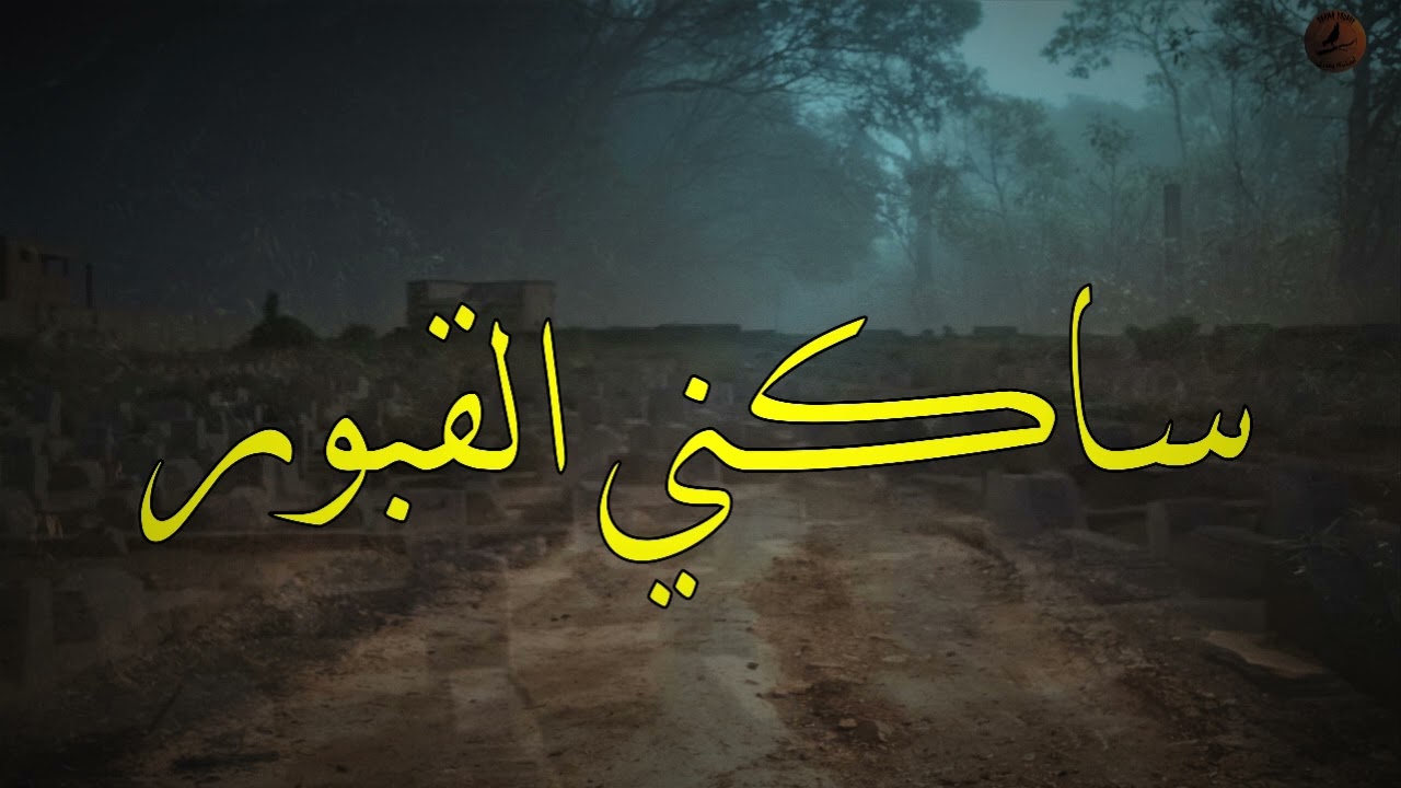 حكاوي ساكني القبور | قصة حقيقية حدثت بالفعل و واقعيه