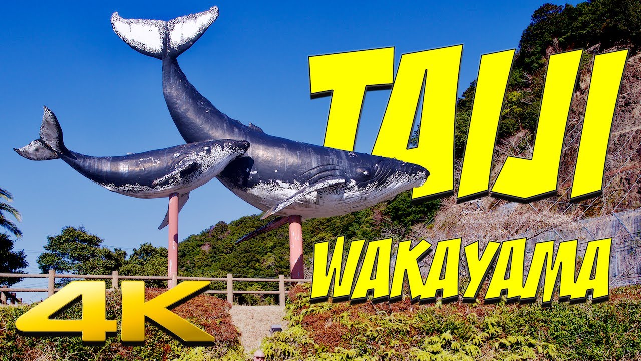 4K JAPAN | TAIJI, WAKAYAMA by MOTORCYCLE