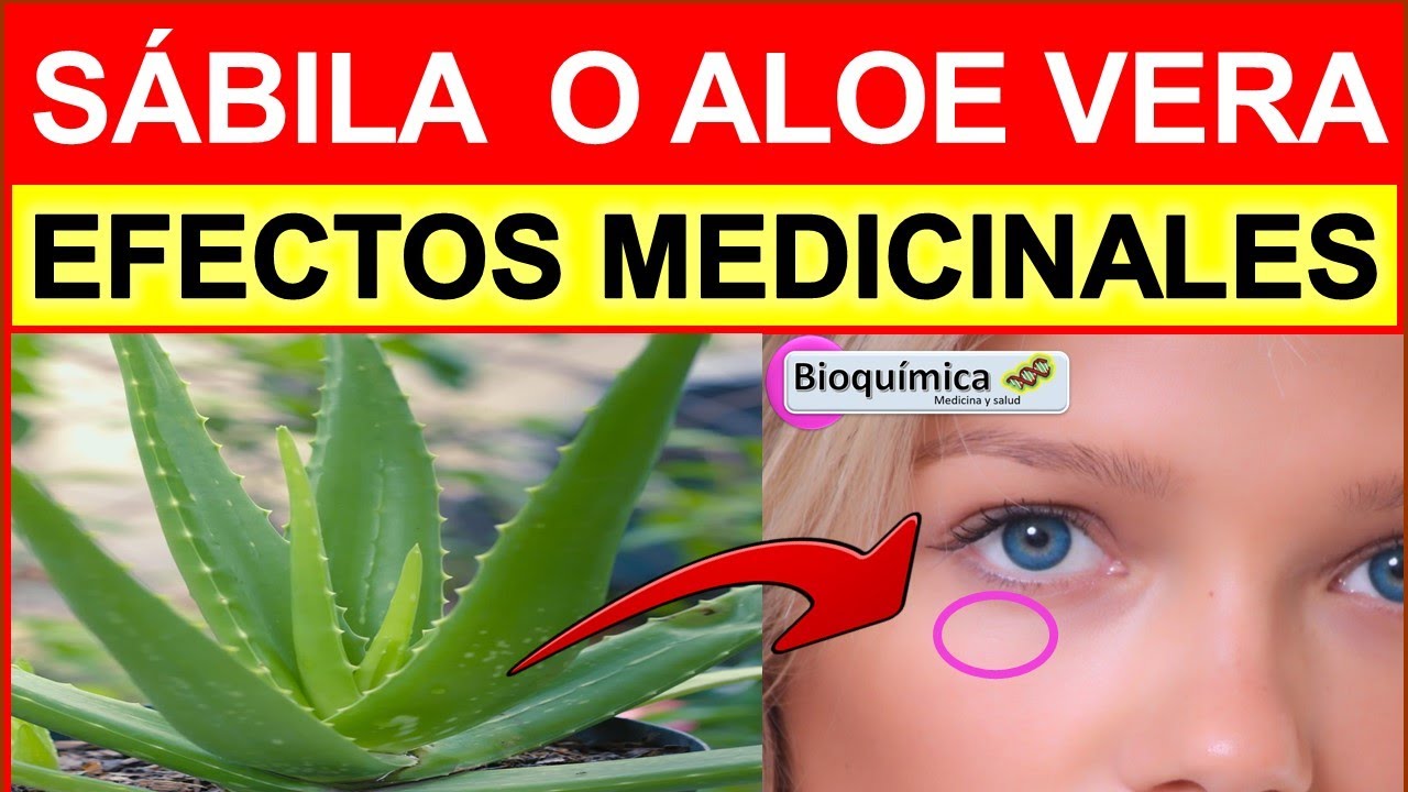 Efectos medicinales del ALOE VERA O SÁBILA