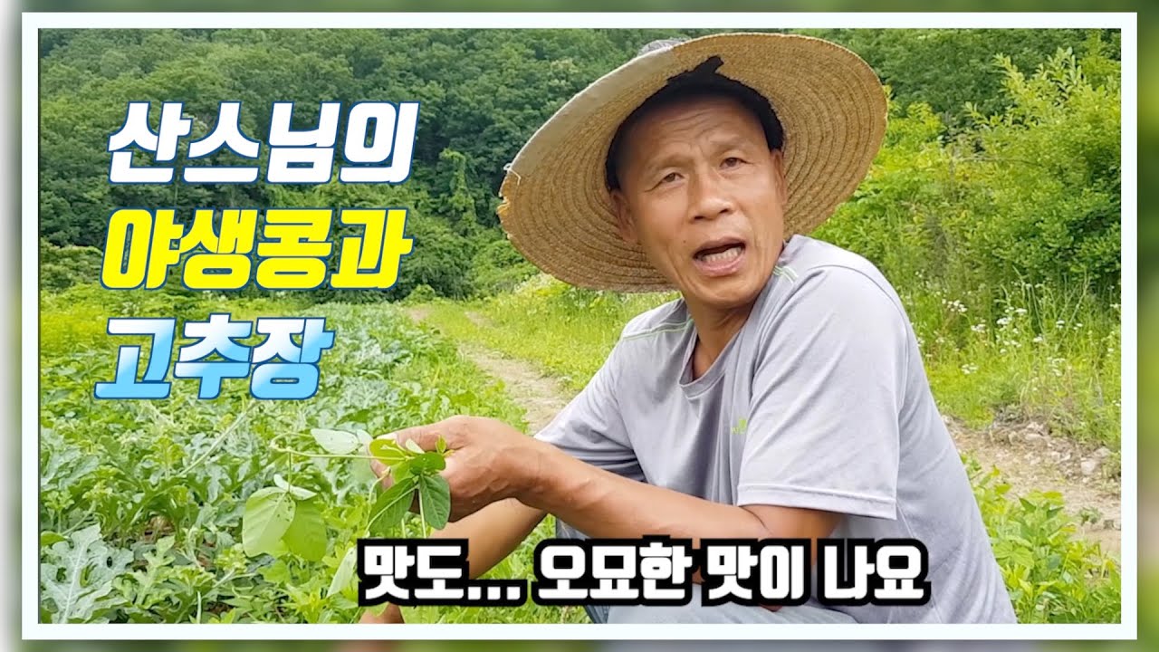 산스님의 야생콩과 고추장 / 오묘한 초콜릿 빛깔의 산스님표 고추장 / 왕모산 힐링 일상