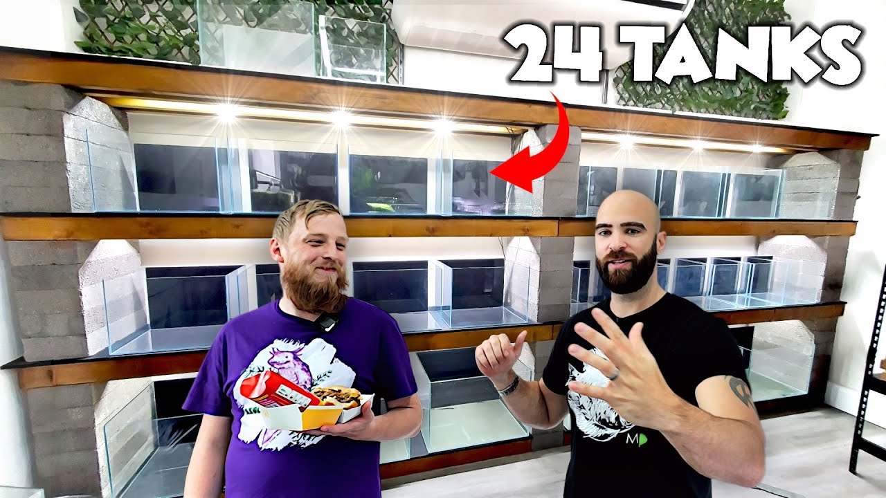 МЫ ЭТО ПОСТРОИЛИ!! Самодельная система для аквариума на 24 резервуара