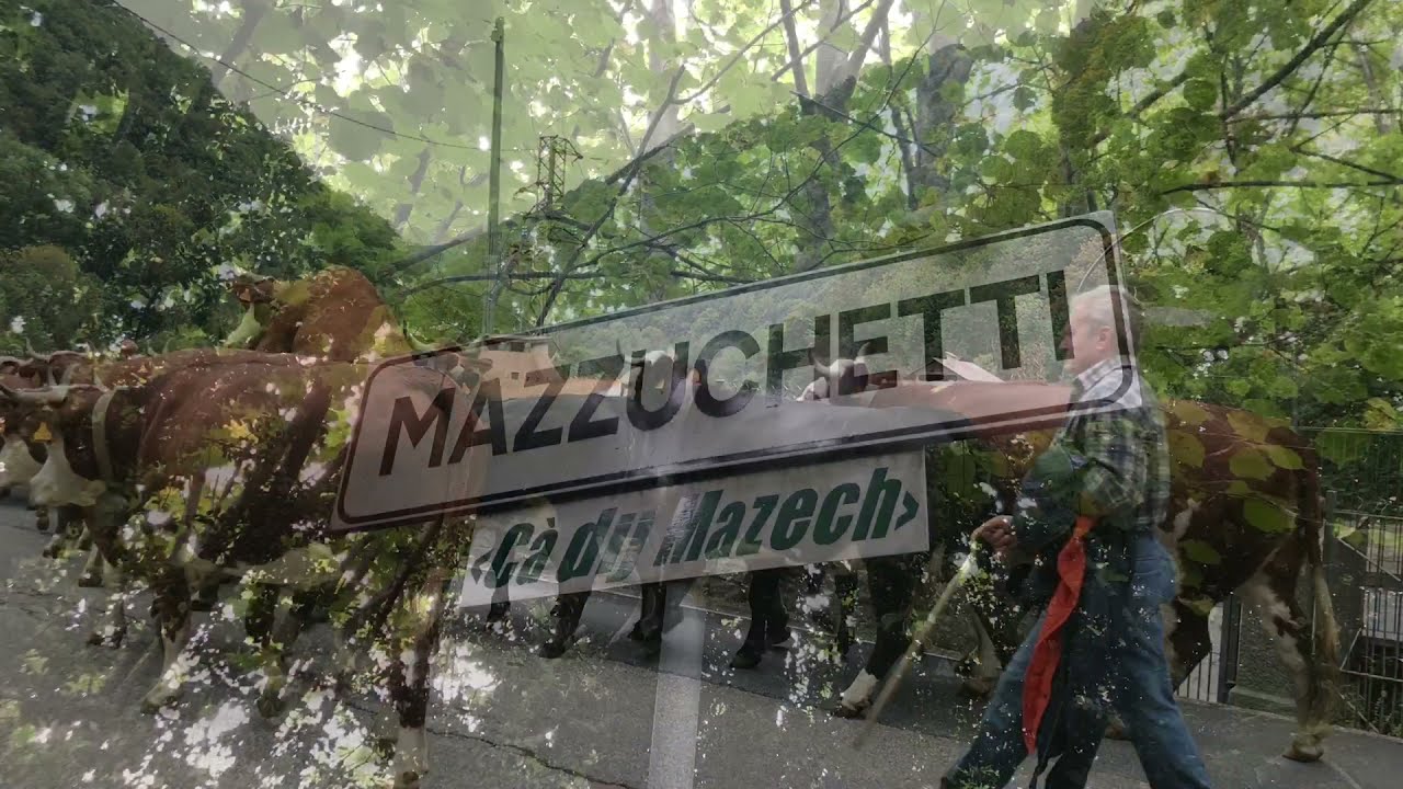 Baffidigatto, Borgata Mazzuchetti (Valle Cervo)