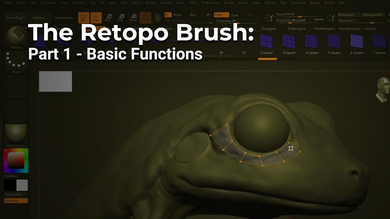 Начало работы с ZBrush Desktop &mdash; Кисть ретопологии &mdash; Базовые функции
