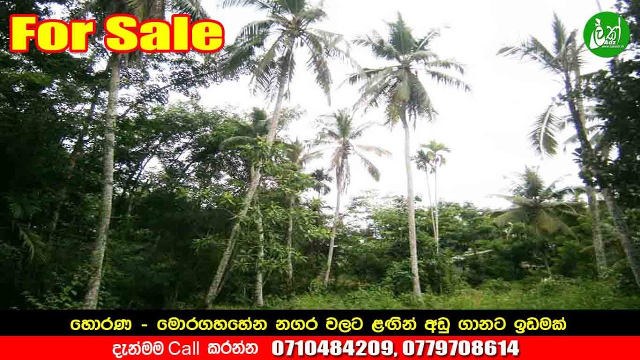 Valuable Land for sale - Horana - Contact : 0710484209, 0779708614, 0771451592 - LAK ADS