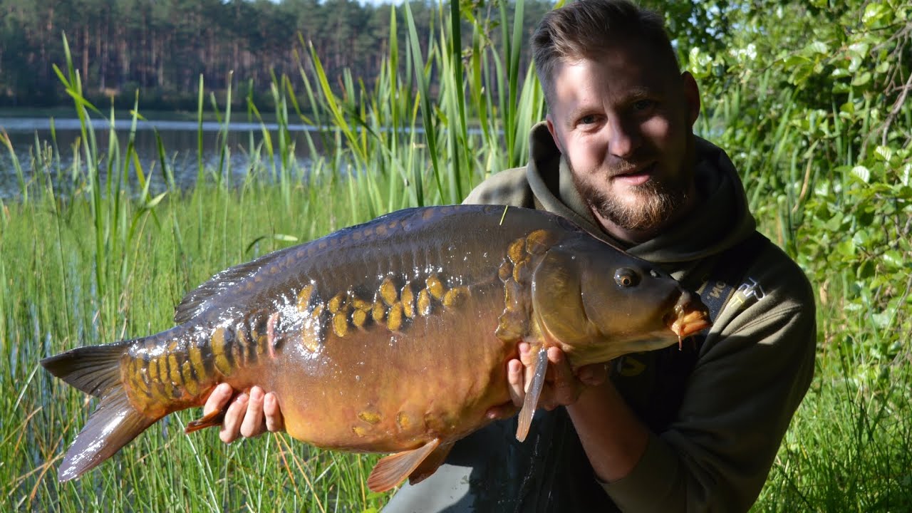 Karp z dzikiej wody !!!