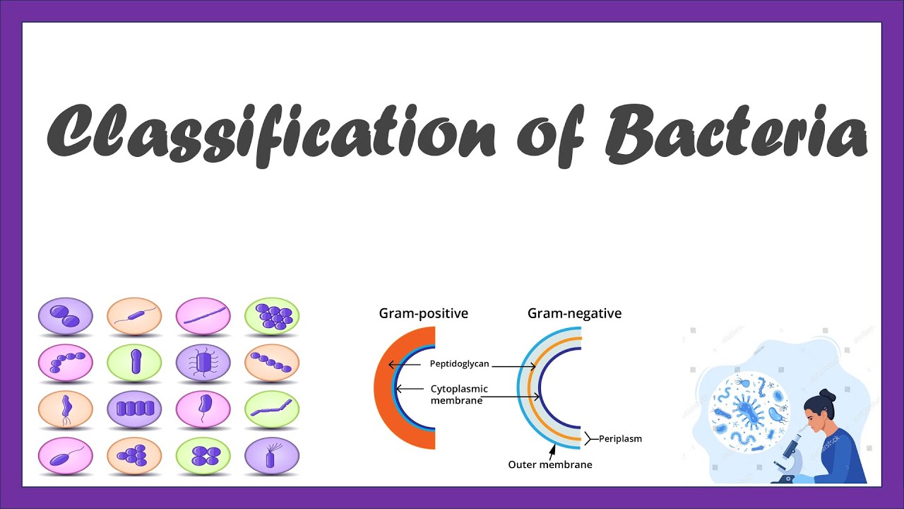 Classification of Bacteria | Based on nutrition I  Morphological Classification of Bacteria