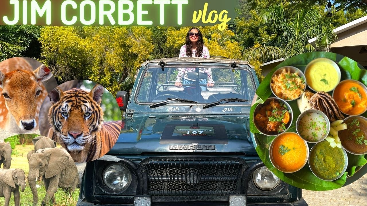 JIM CORBETT Resort, Kumaoni Thali, National Park Safari *Bijrani Zone*, Buffet Food & more ~ vlog