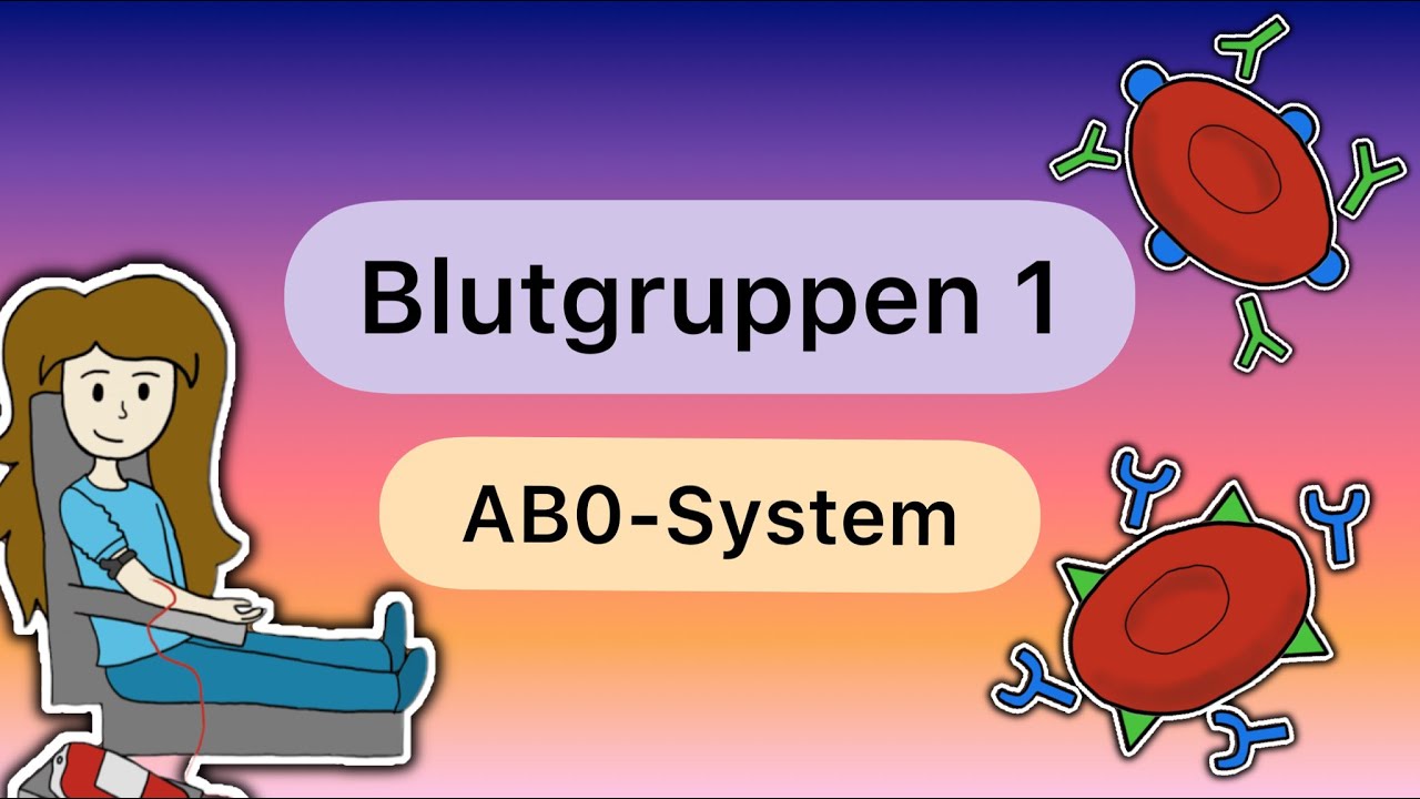 Blutgruppen TEIL 1: Das AB0-SYSTEM