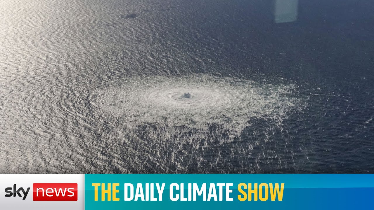 Daily Climate Show: 'Unprecedented disaster' in the Baltic Sea