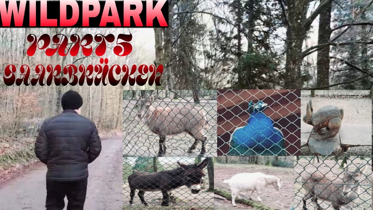 BERBAGAI MACAM BINATANG DI WILDPARK SAARBRÜCKEN #PART5