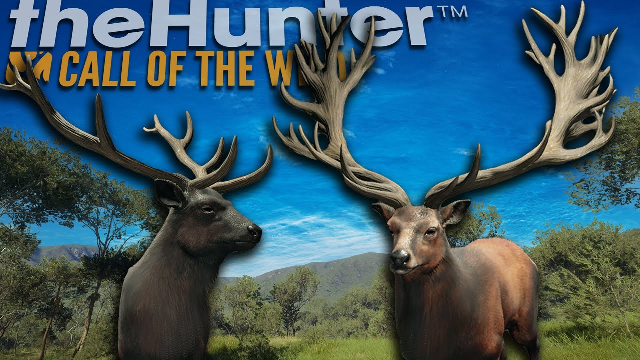 Another Melanistic And A GIANT 270+ Diamond Red Deer! Call of the wild