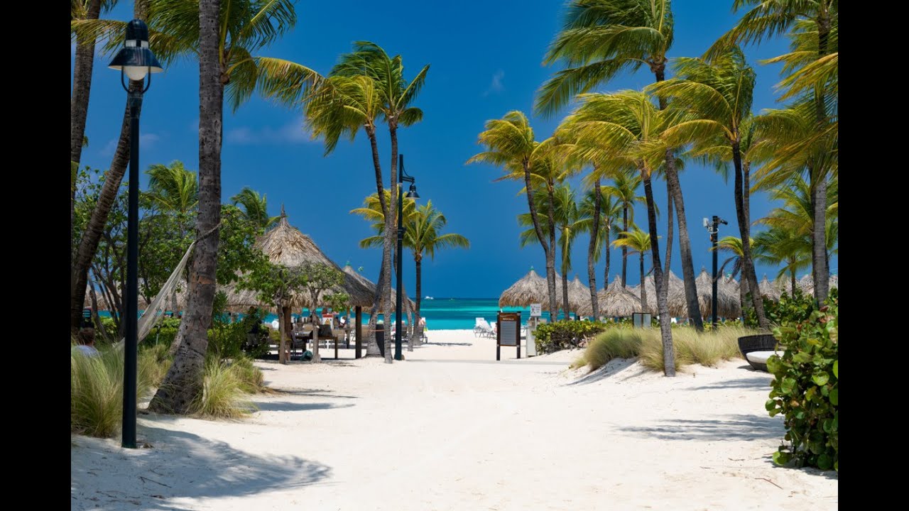 5 Hilarious Facts About Aruba You Didn't Know