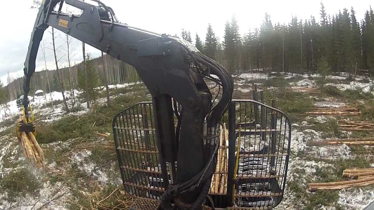 Ponsse Buffalo mäntyaukolla