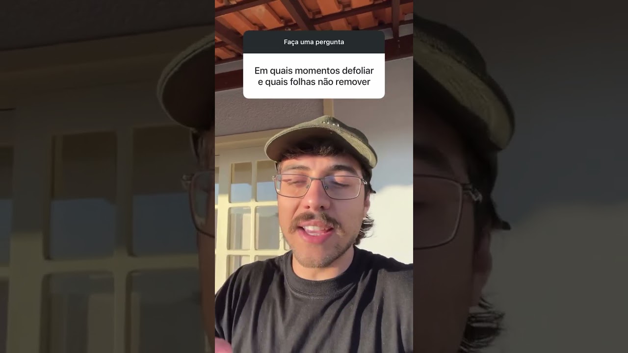 QUANDO e COMO DESFOLHAR a MACONHA?