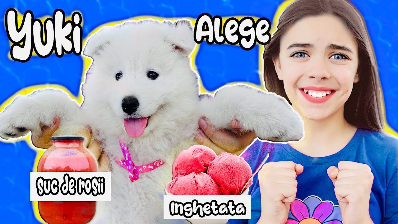 YUKI DECIDE CE VA MÂNCA JASMINA !!