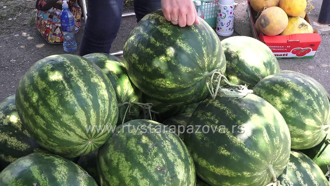 Kako prepoznati slatku lubenicu