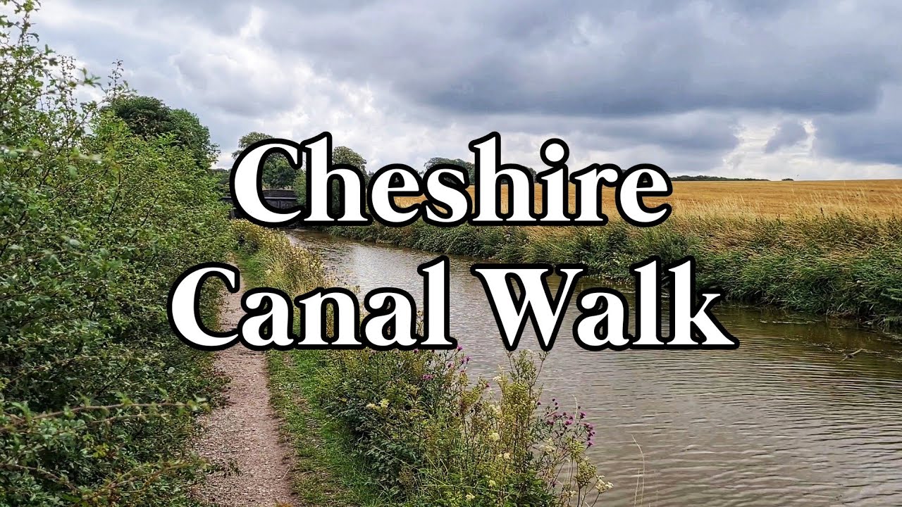 Short Walk in Cheshire | Canal, Woodland, Corn & Wheat Fields (3 mile circular route, Church Lawton)