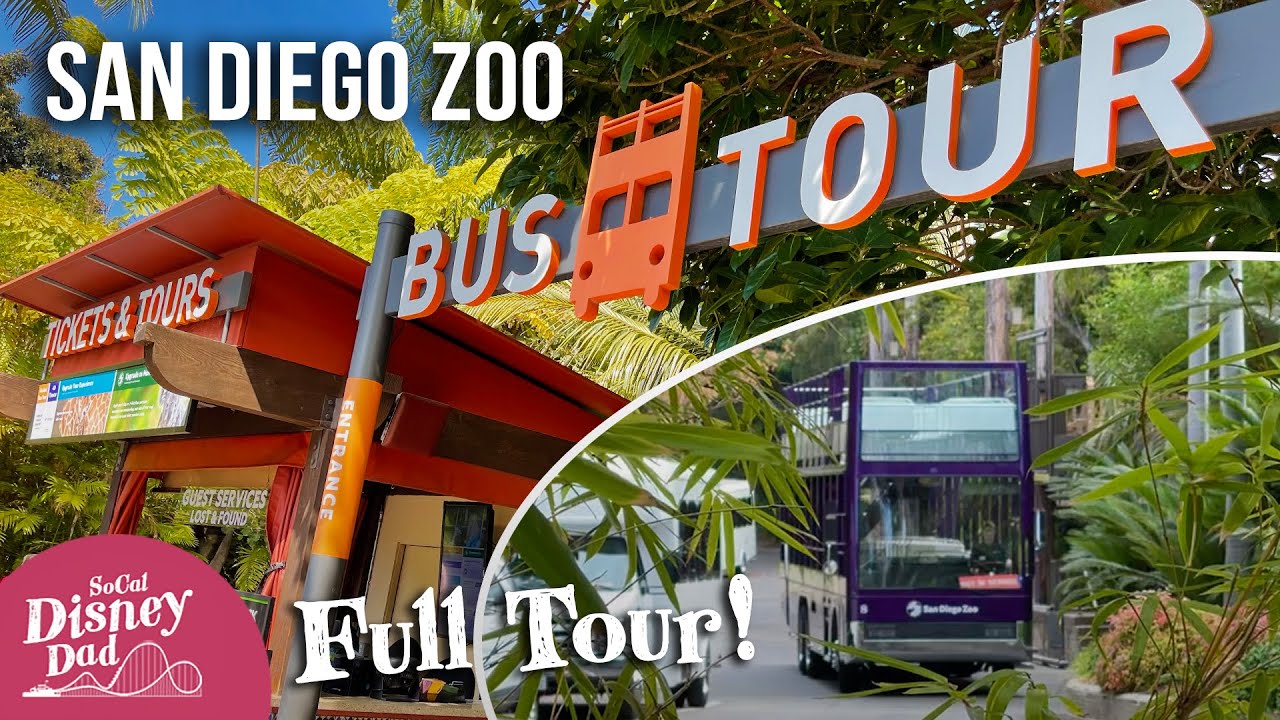 [POV] San Diego Zoo Bus Tour 2021 | Full Tour + Queue