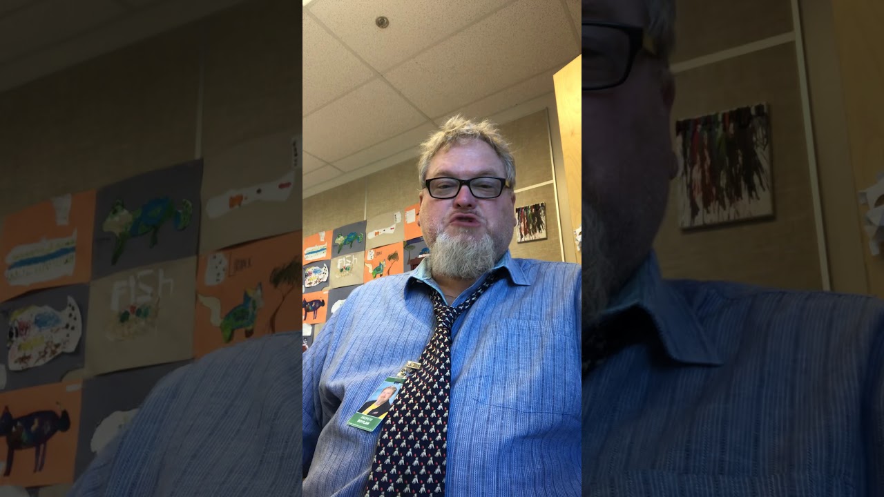 Four Bee Buzz; Multiplication and division