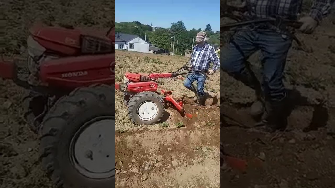honda f560 motoazada con aporcador doble montado en bastidor de arrastre (neum&aacute;ticos de 12 pulgadas)