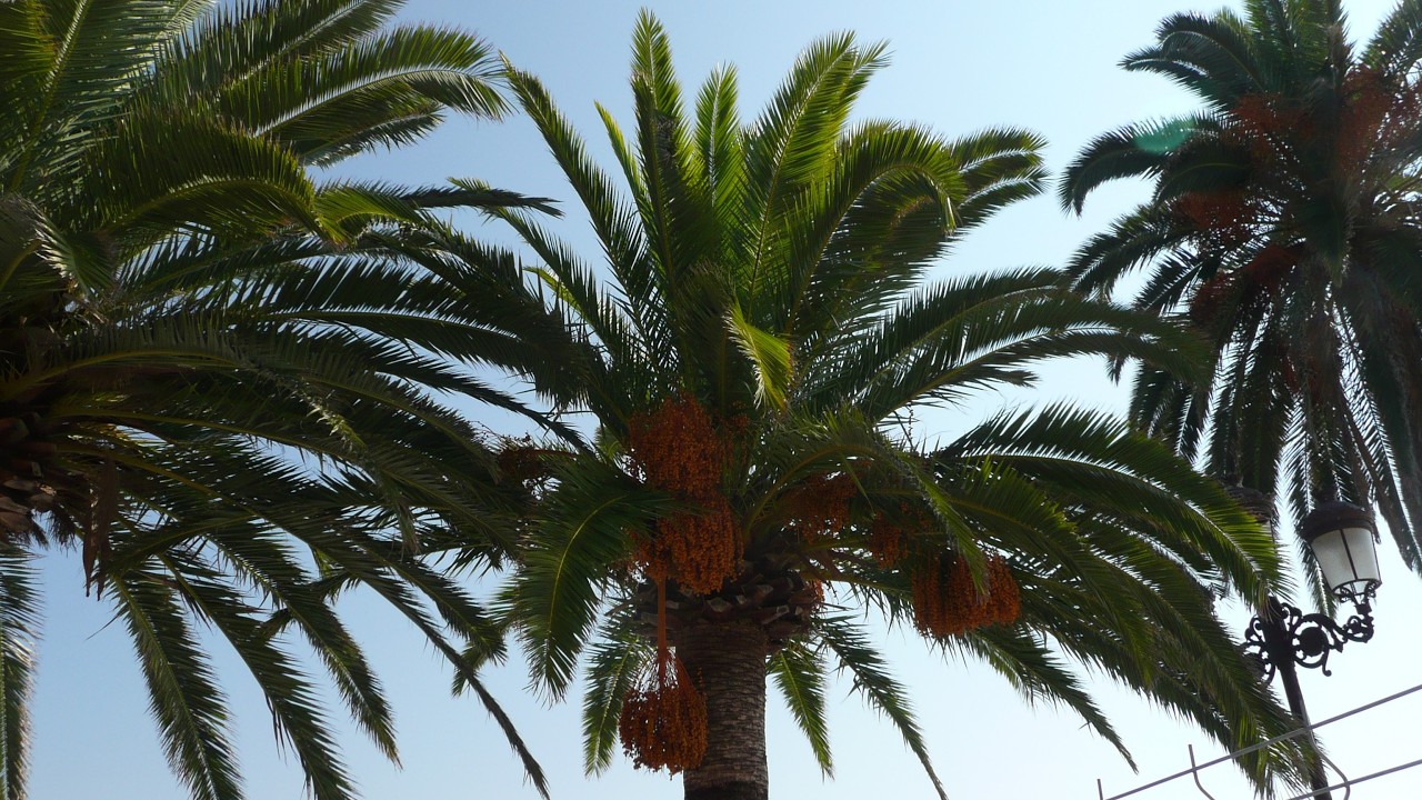 20071010 Nerja