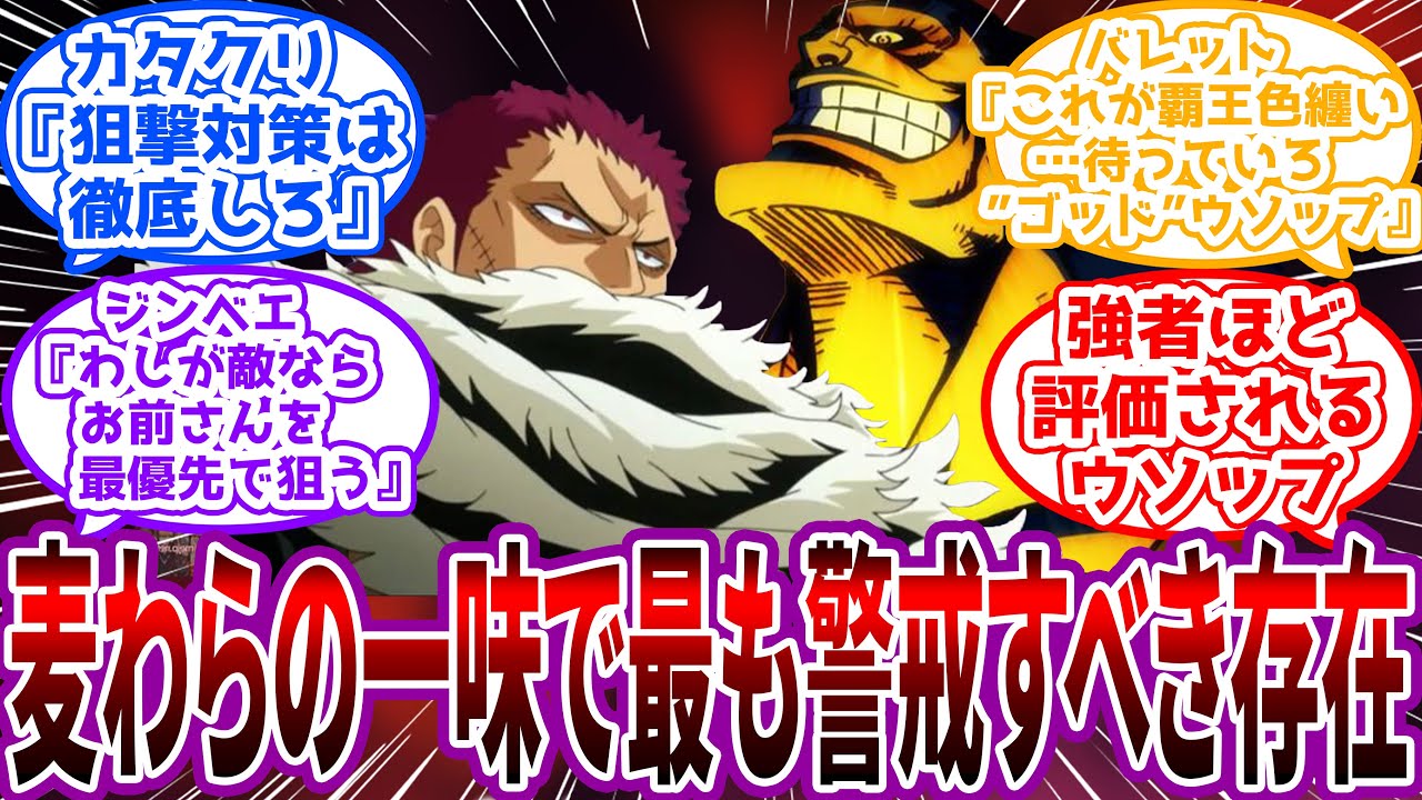 「次戦うなら麦わらは当然として…警戒すべきはやはり…」