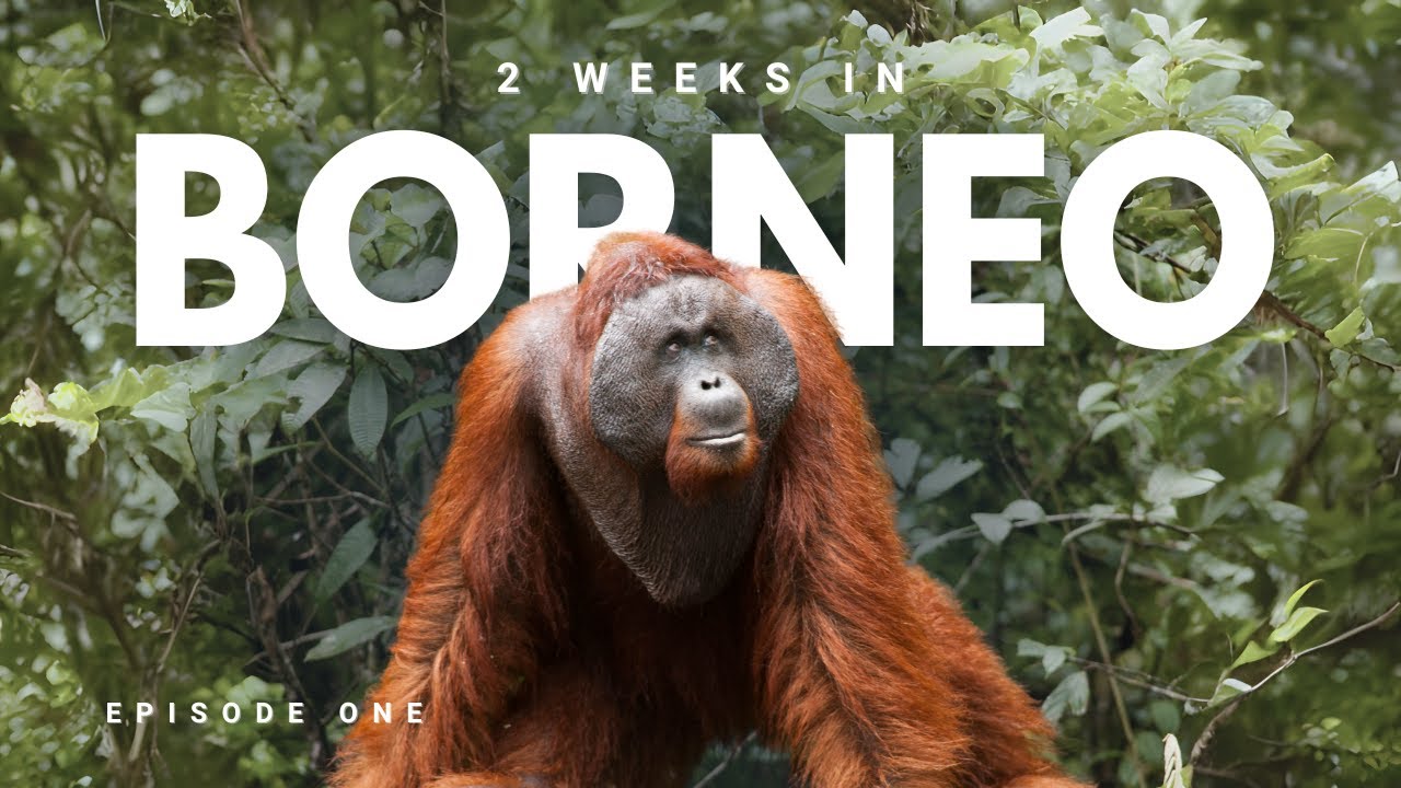 Solo backpacking through South East Asia | Borneo Travel Vlog Series Ep 1