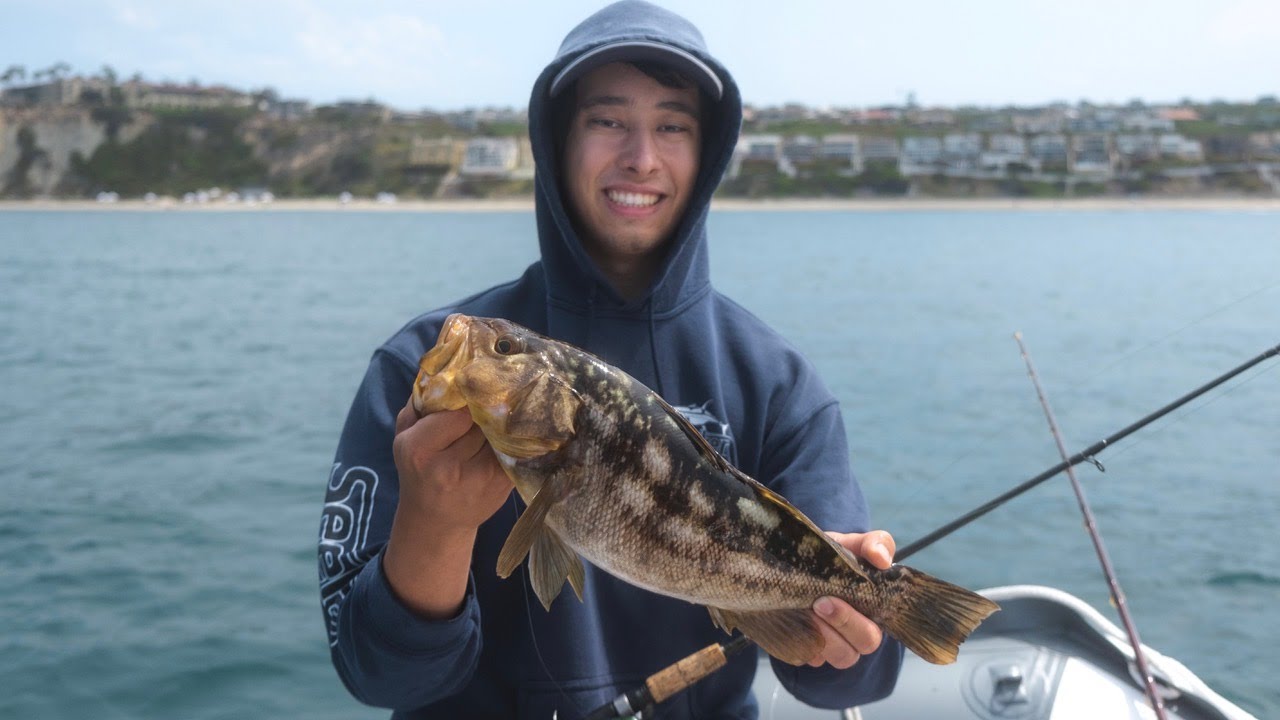 CALICO BASS FISHING! | Dana Point Fishing