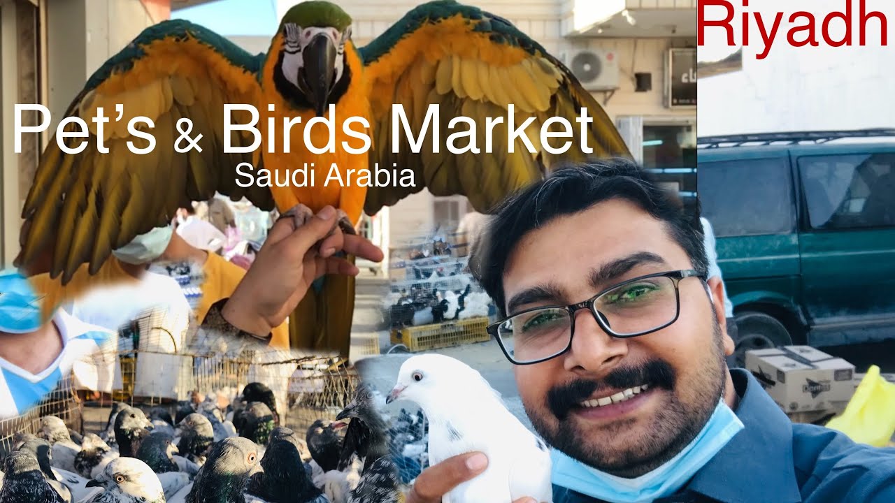 Bird's And Pet's Biggest Market Riyadh Saudi Arabia | Urdu | Vlog by Umair World | 2020