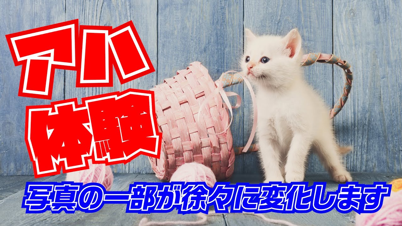 【簡単脳トレ】アハ体験【写真が徐々に変わります】