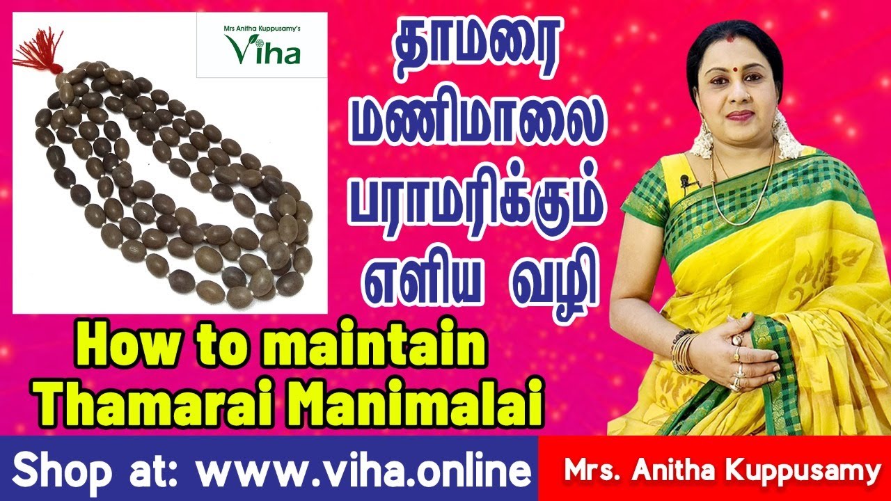 தாமரை மணிமாலை பராமரிக்கும் எளிய வழி | How to maintain Lotus Mala(Thamarai Mani malai)