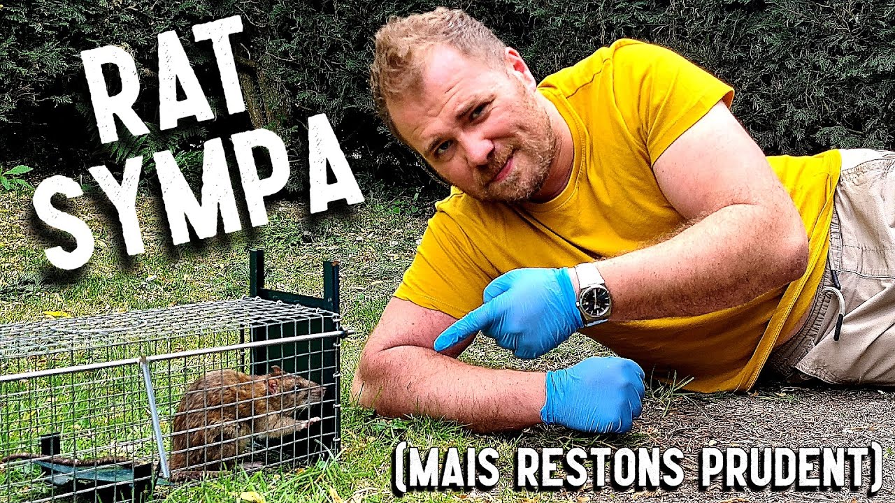 Les RATS traversent le JARDIN ! (Episode 2)