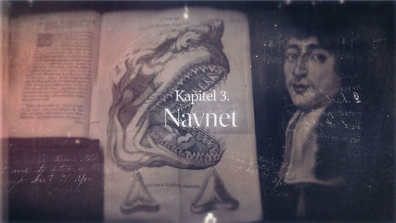 Navnet: Kapitel 3