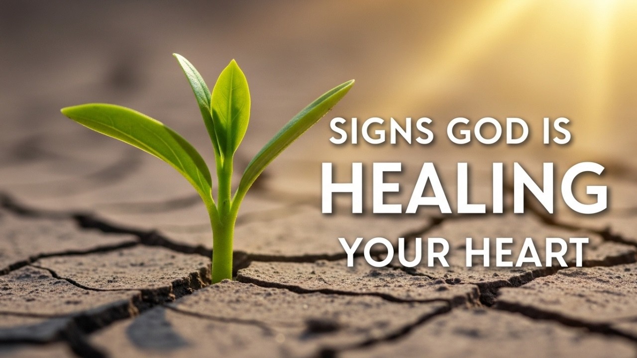 8 Biblical Signs God is Healing Your Heart
