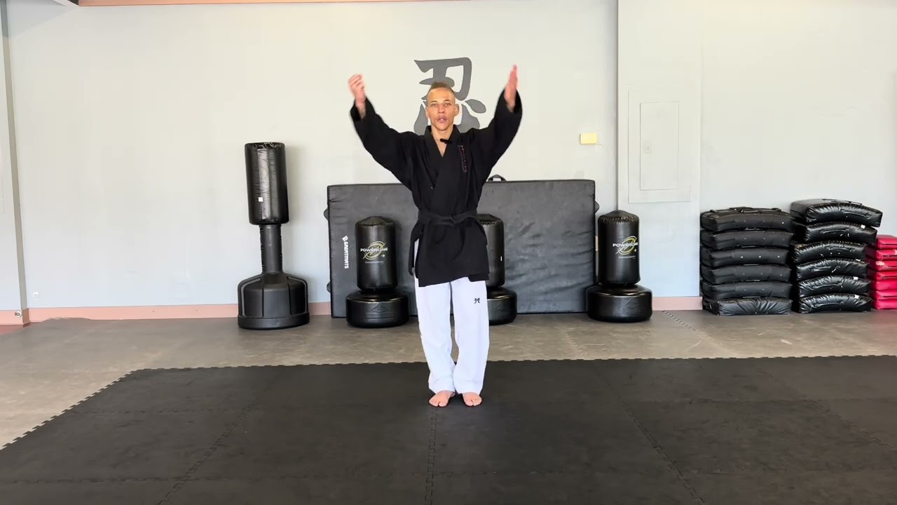 Kandaryu - Orange Belt: Mock Test Submission