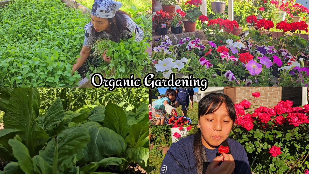 Organic Gardening In USA/Tori Ko Saag Tipdai/Jasna Jastina Helping Mommy/Jenna Shrestha Garden.