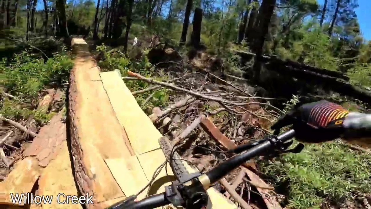 Bass Lake//MTB//Willow Creek