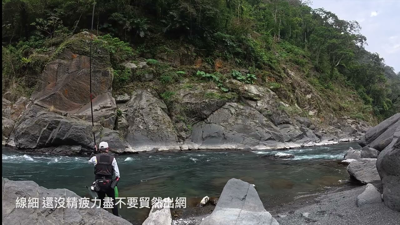 拋到還疑人生 就在快要放棄的時候 突然就來了一下 細線只能慢慢牽... 37.5花 by #gamakatsu  本流 SPII HH95 #fishing #本流釣り #苦花
