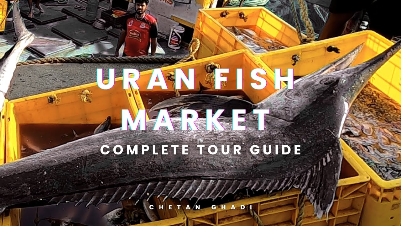 Uran Fish Market | उरण  फिश मार्केट