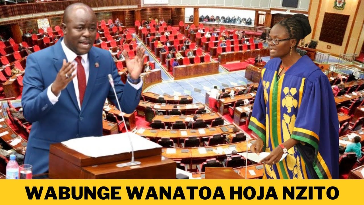🔴#LIVE: WABUNGE WANAIJADILI BAJETI YA WIZARA YA MAJI/WAZIRI APIGWA MASWALI MAZITO