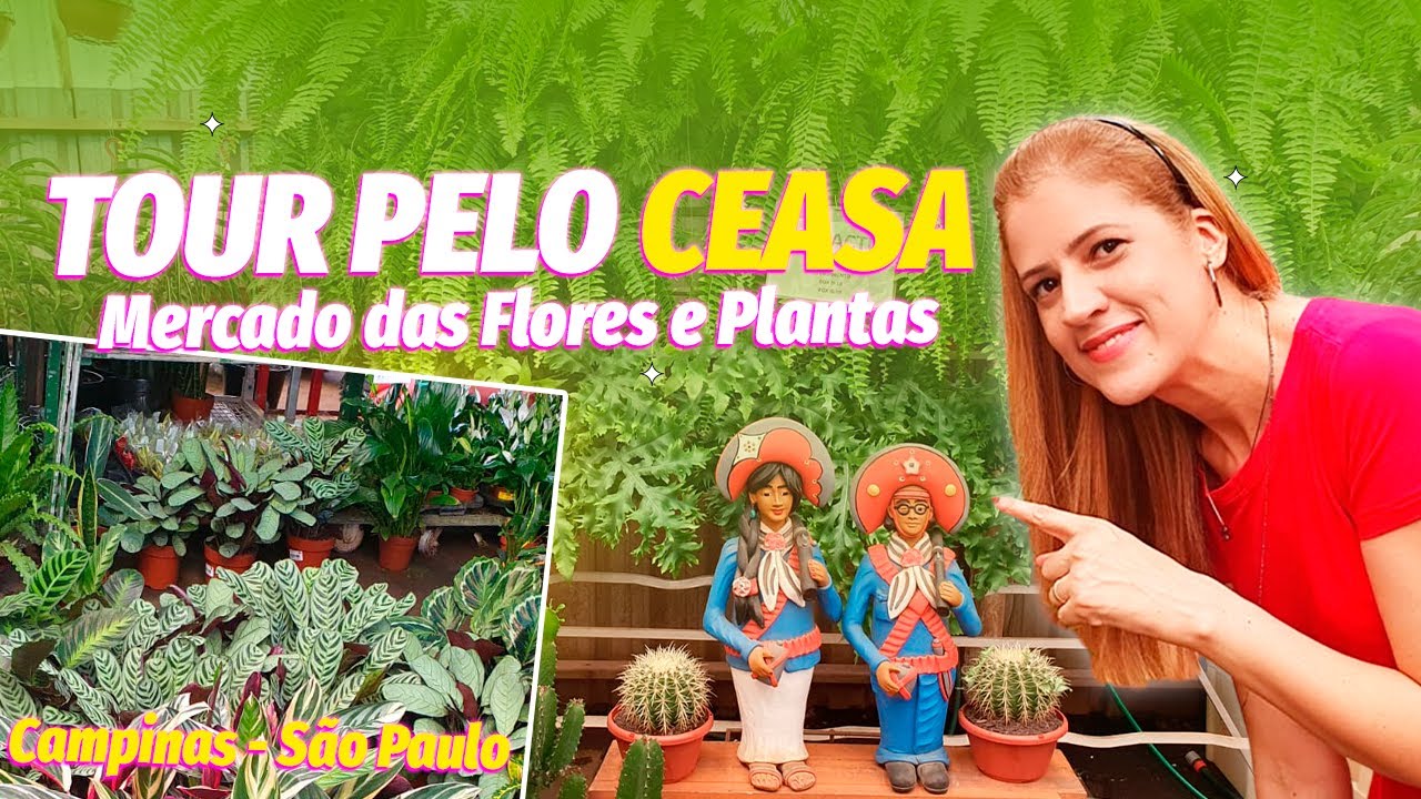 TOUR PELO CEASA CAMPINAS - MERCADO DAS FLORES E PLANTAS || PREÇO BOM E VARIEDADES