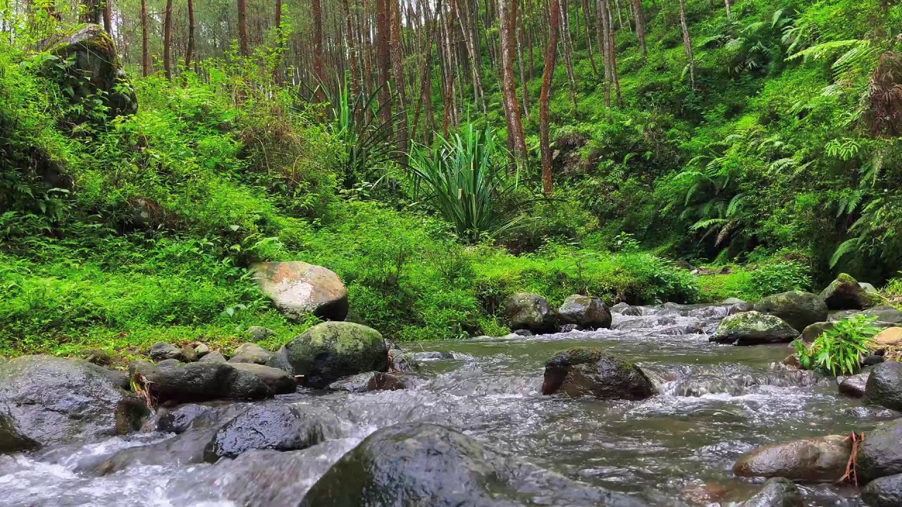 Flow of Calm – River Sounds for Deep Focus, Mind Balance & Stress Relief