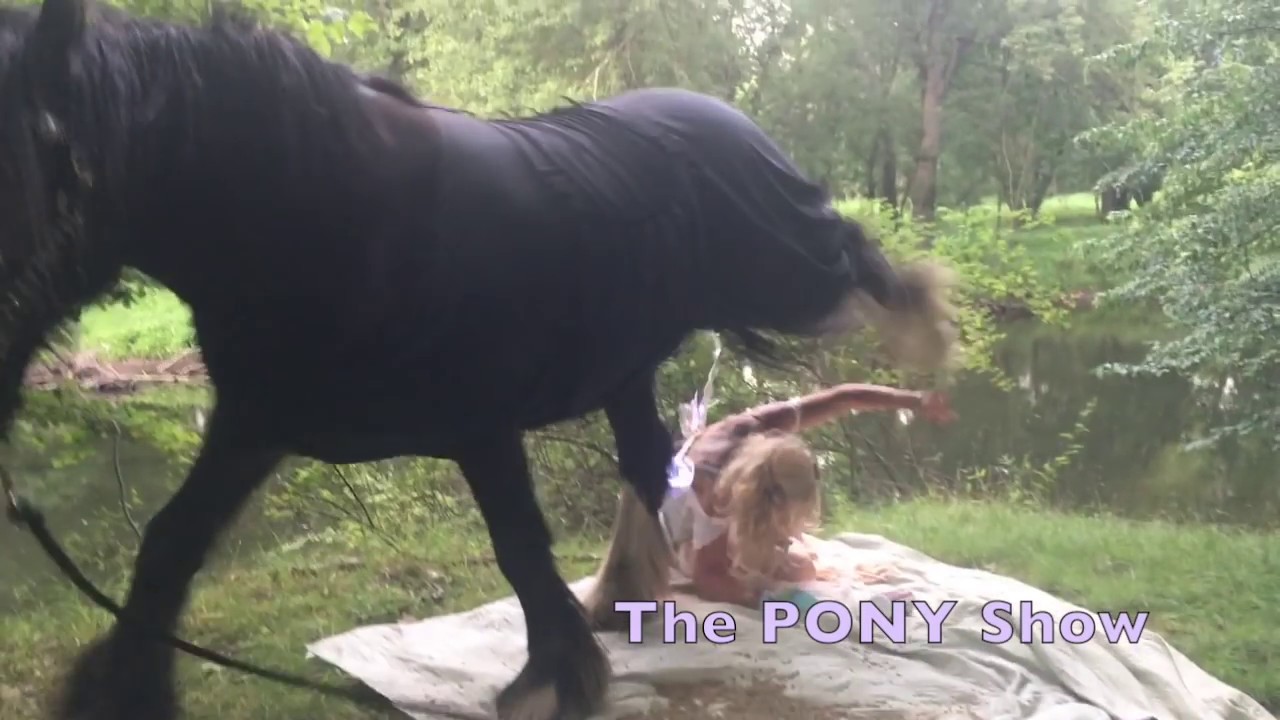 Unicorn steps on Fairy! Wear a Helmet!, @theponyshow  Horse and Lady are ok