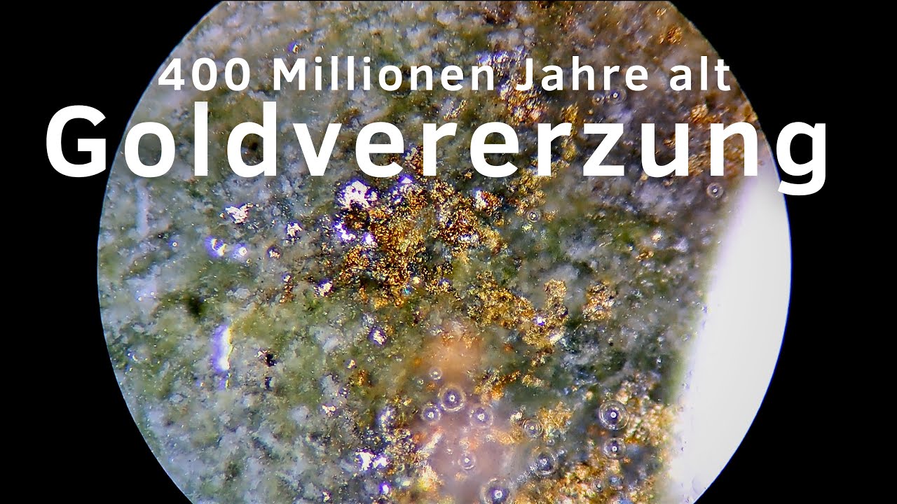 Gold-Primärvererzung - 400 Millionen Jahre altes echtes Gold